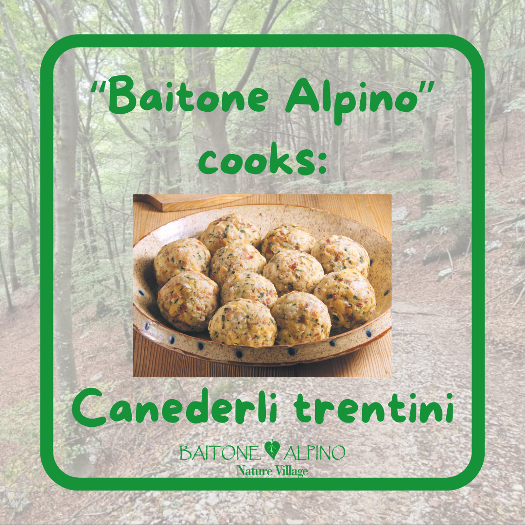 BaitoneAlpino cooks: Canederli trentini